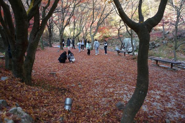 가을은단풍 만추의 가을사진_4