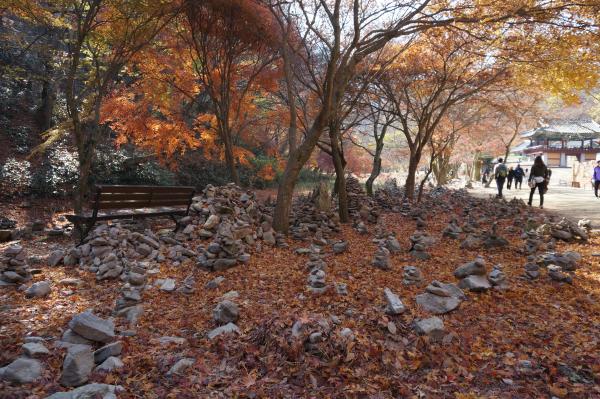 가을은단풍 만추의 가을사진_5