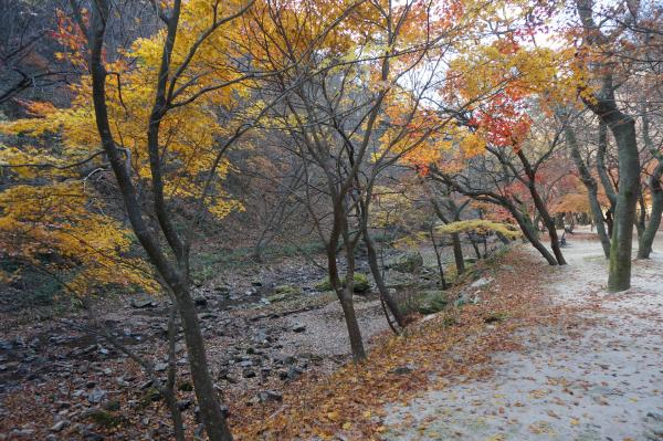 가을은단풍 만추의 가을사진_6