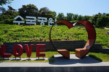 미리본 도초수국축제