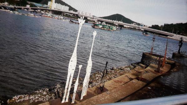 여수 아름다운 선소대교와 장도 주변  바닷가 풍경_4