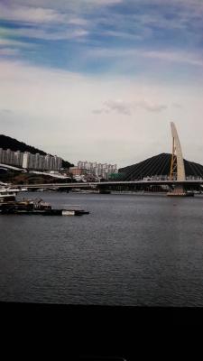 여수 아름다운 선소대교와 장도 주변  바닷가 풍경_8