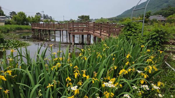 나주 도래마을_3