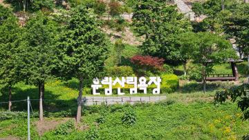 진도 운림산림욕장 수국공원.