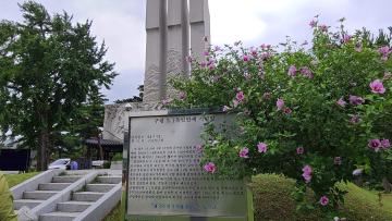 광복 80주년 , 우리 꽃 무궁화