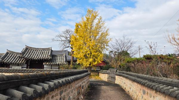 고즈넉한 구림한옥마을_2