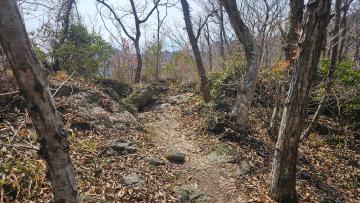 2026년 3월4일 진도 접도웰빙길은 지금.