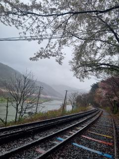 곡성섬진강레일바이크 풍경
