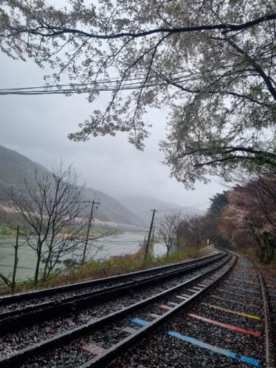곡성섬진강레일바이크 풍경_2