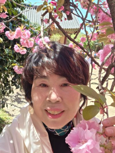 선암사 왕겹젖벗꽃_4